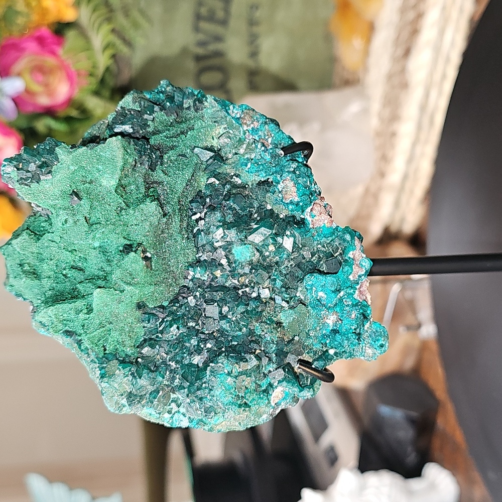 RARE Quality Large Dioptase W/ Malachite And A Bit Of Shattuckite! Stunning! - Picture 2 of 10